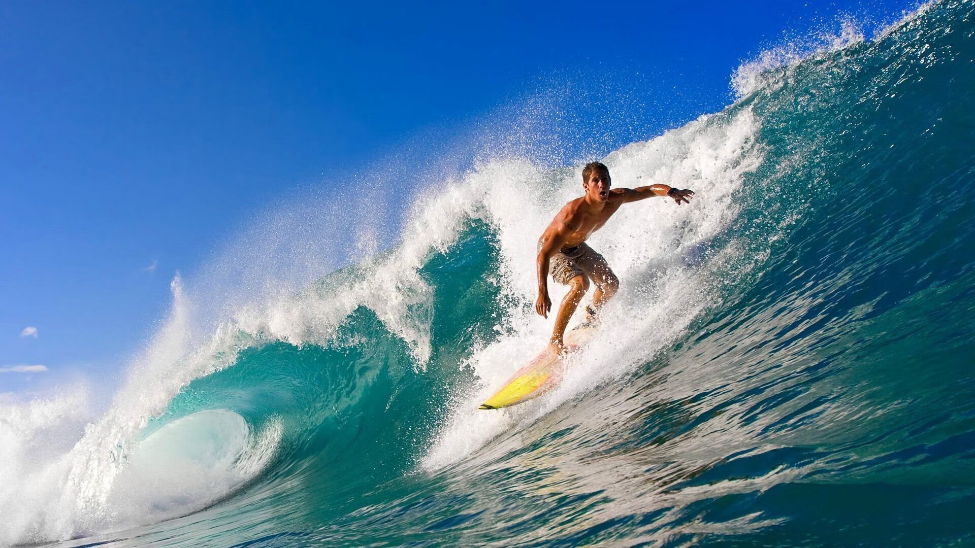 体育新闻中心推动建设体育资讯搜索引擎优化模型,专业的体育新闻网站